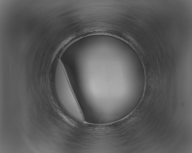 X0000052961026200507080850