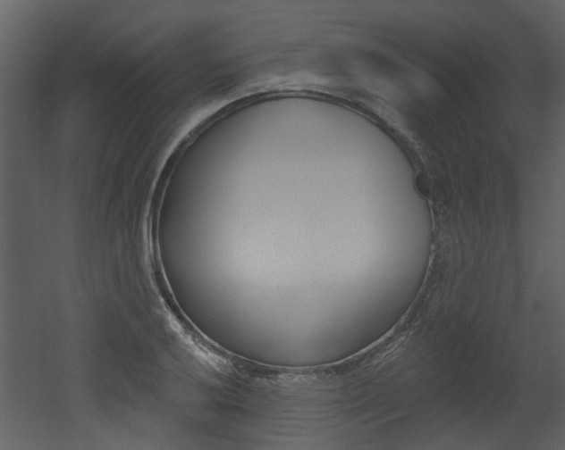 X0000052961032200507080850