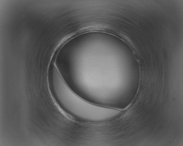 X0000052961034200507080850