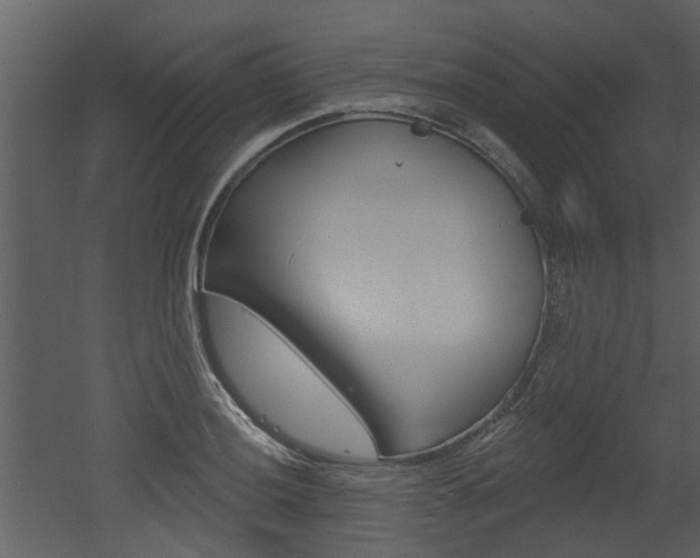 X0000052961036200507080850