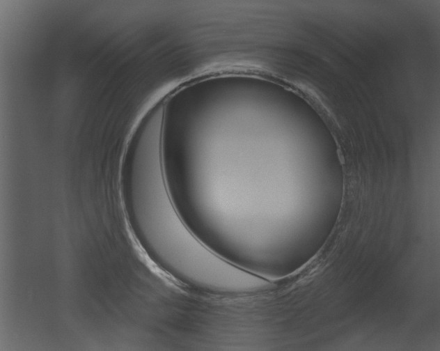 X0000052961038200507080850