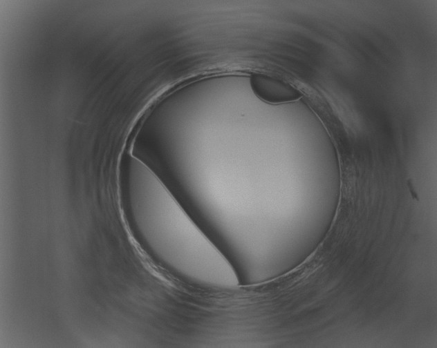 X0000052961039200507080851