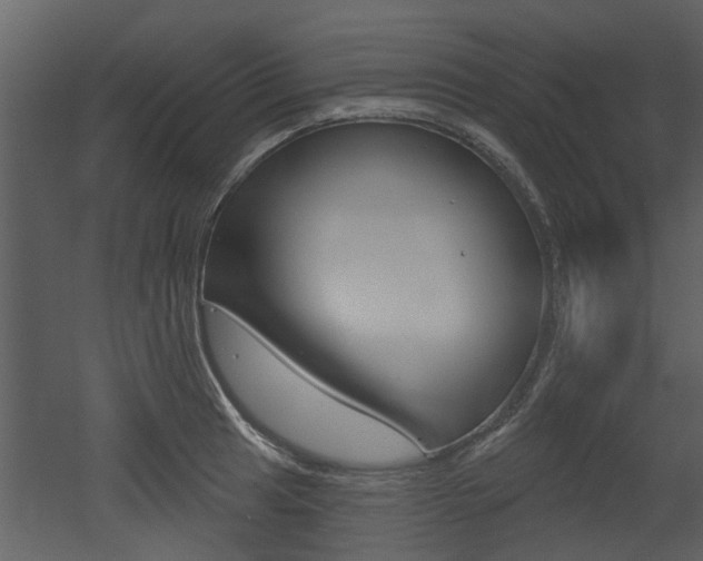 X0000052961041200507080851