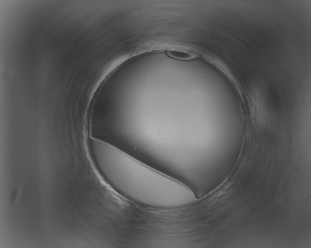 X0000052961048200507080851