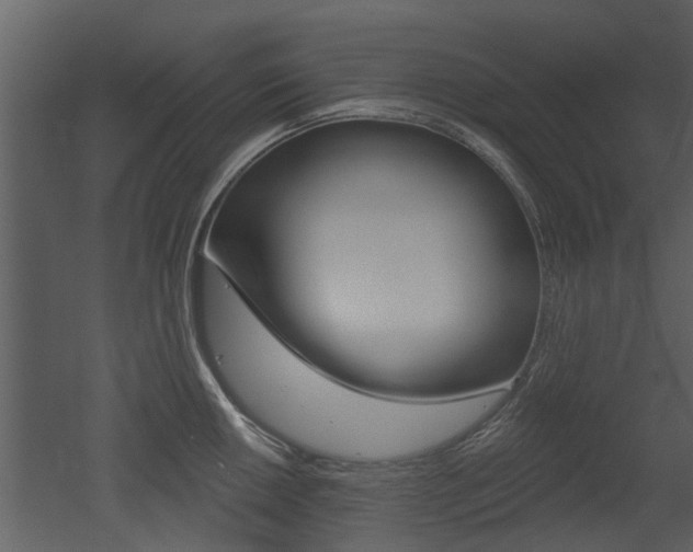X0000052961050200507080851