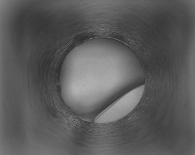 X0000052961057200507080850