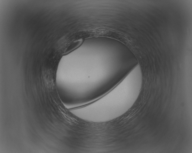 X0000052961058200507080850
