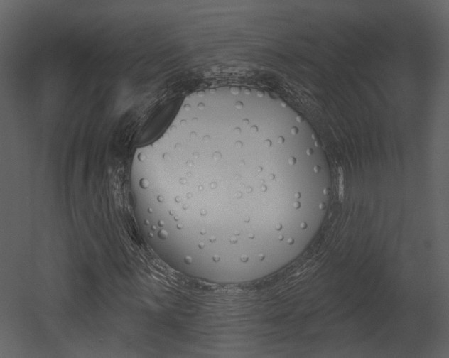 X0000052961059200507080850
