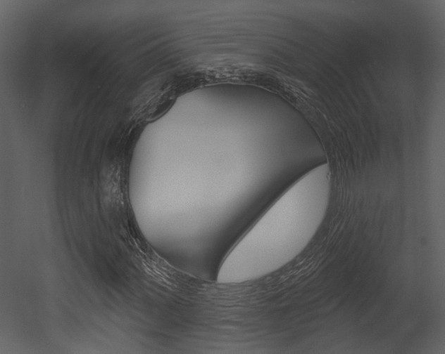 X0000052961060200507080850