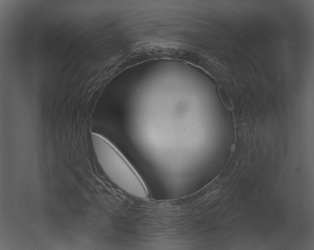 X0000052961061200507080850