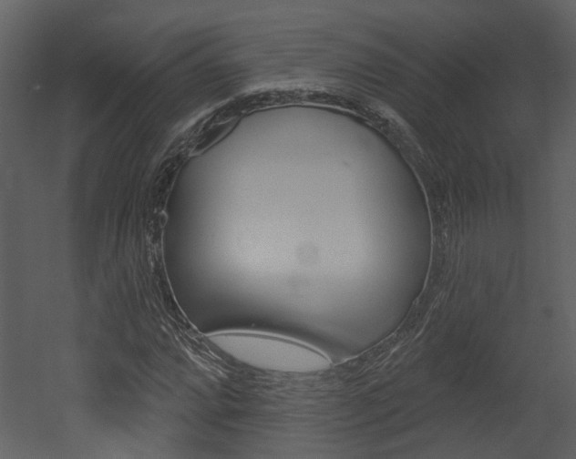 X0000052961064200507080850