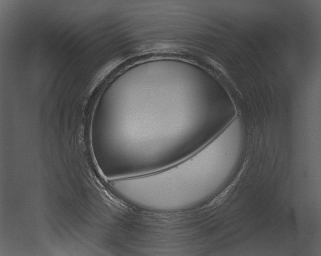 X0000052961066200507080850