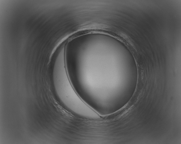 X0000052961069200507080850