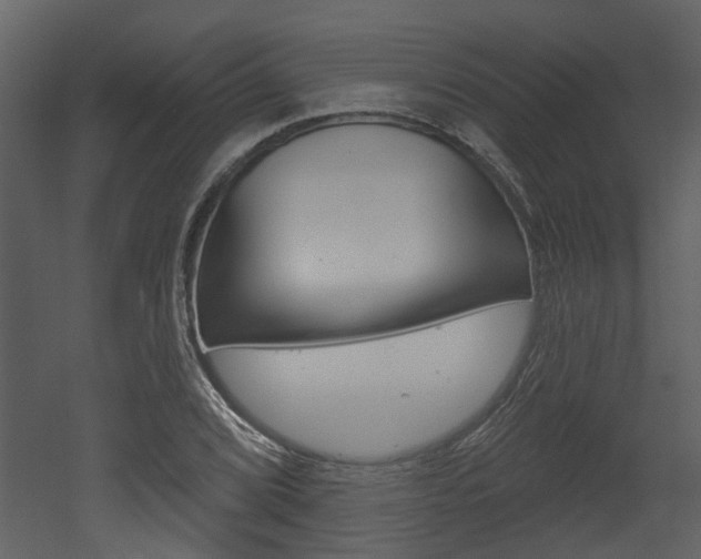 X0000052961072200507080850