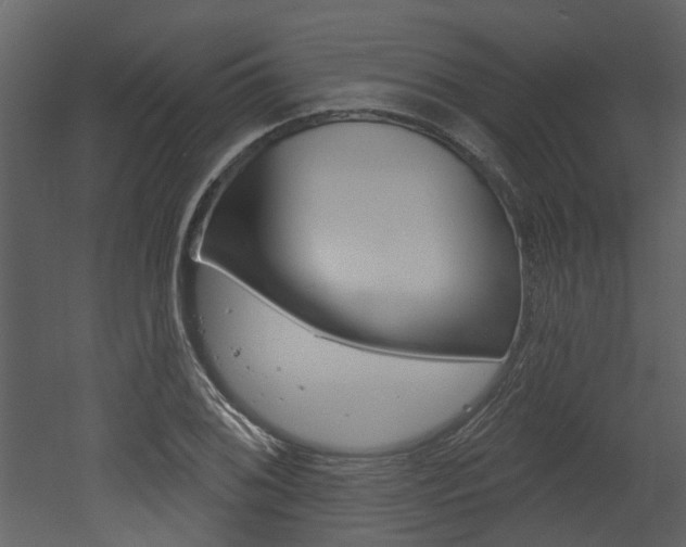X0000052961076200507080850