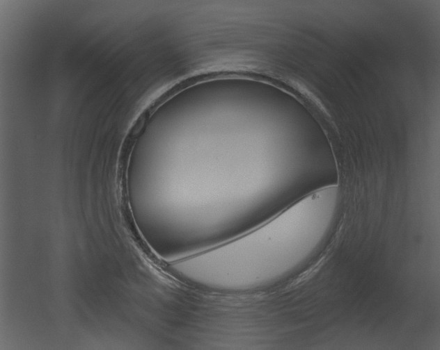 X0000052961077200507080850