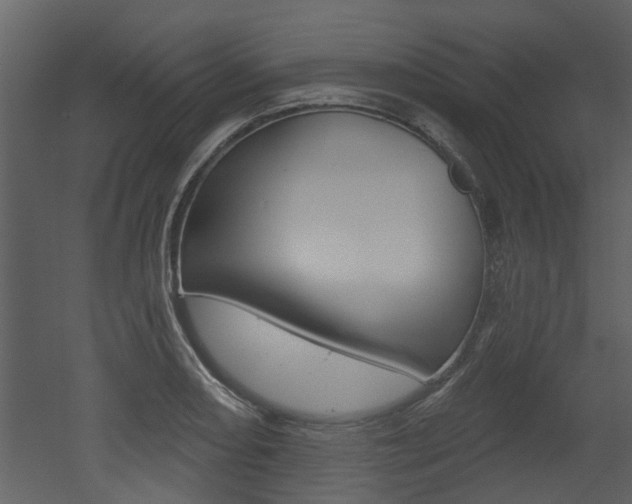 X0000052961082200507080850