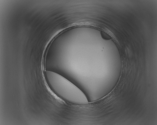 X0000052961084200507080850
