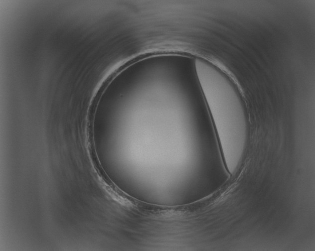 X0000052961085200507080850