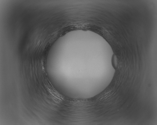 X0000052961106200507080848