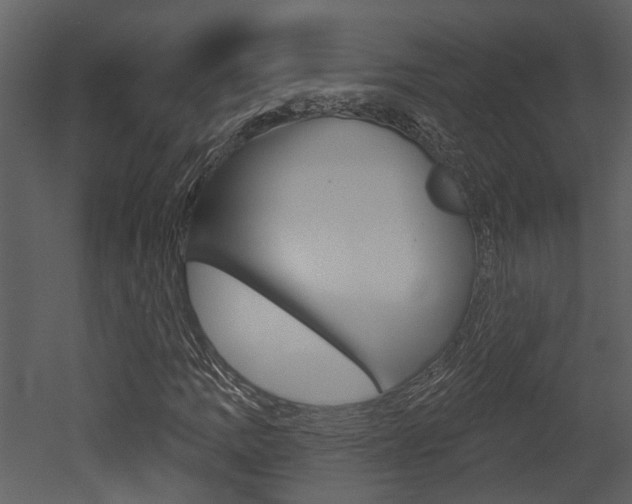 X0000052961109200507080848
