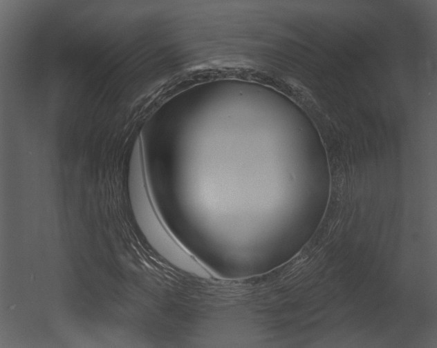 X0000052961110200507080848