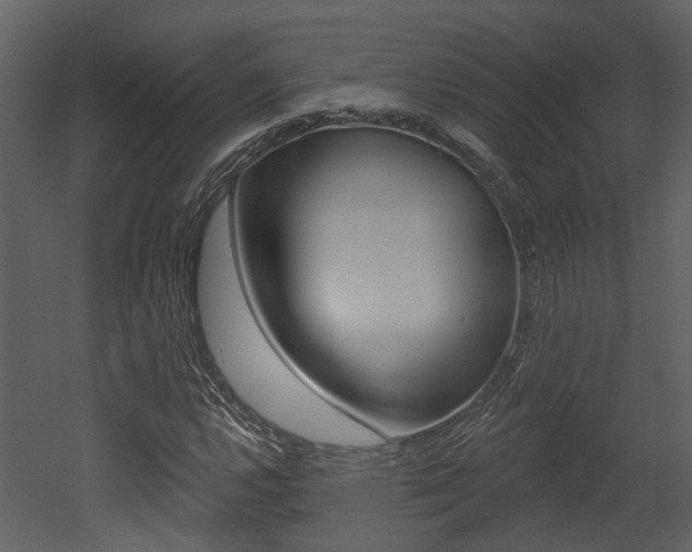 X0000052961112200507080848