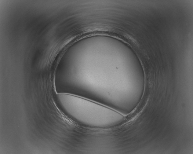 X0000052961113200507080849