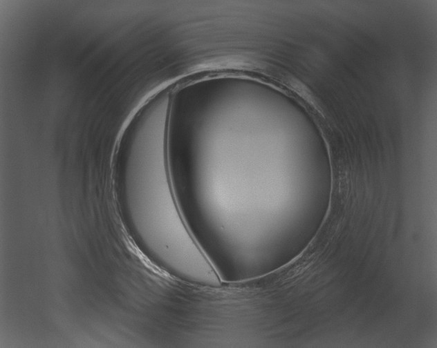 X0000052961116200507080849