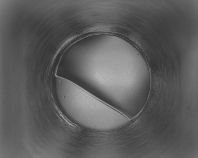 X0000052961123200507080849