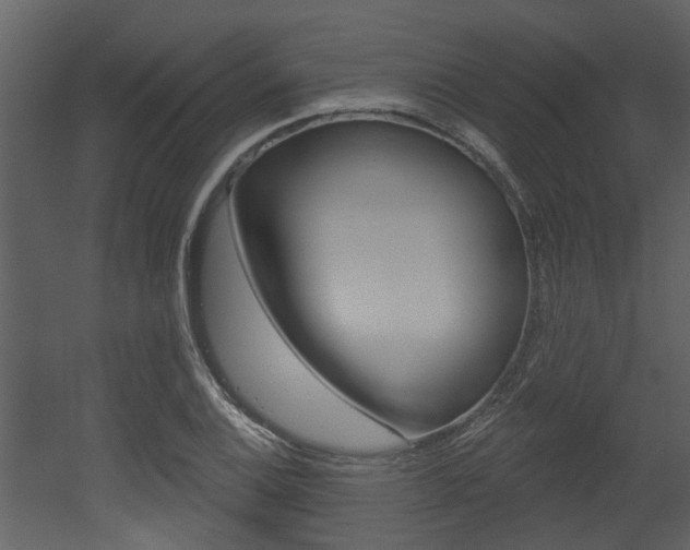 X0000052961124200507080849