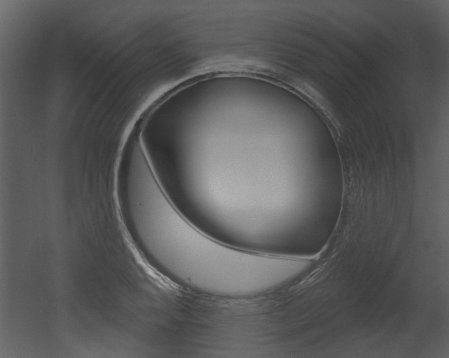 X0000052961128200507080849