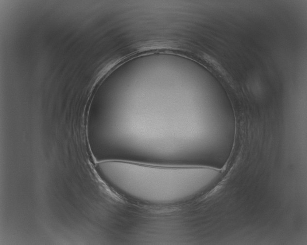X0000052961129200507080849