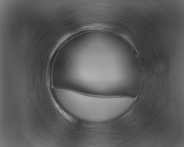 X0000052961131200507080849
