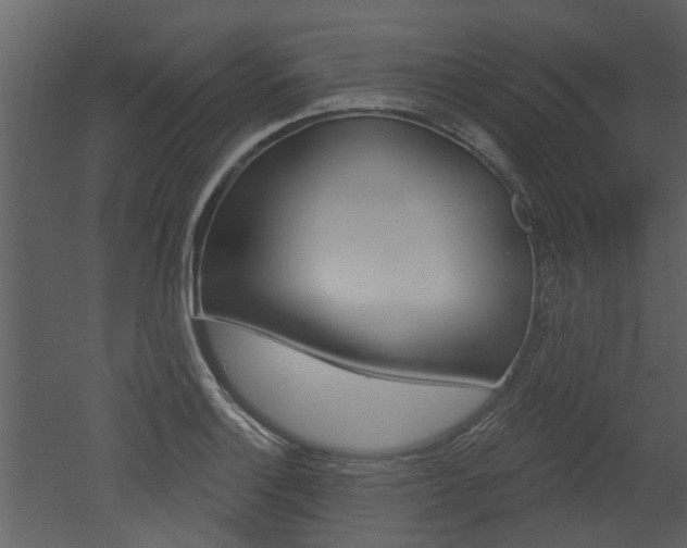 X0000052961132200507080849