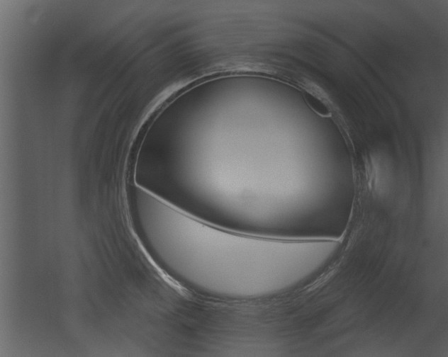 X0000052961141200507080849
