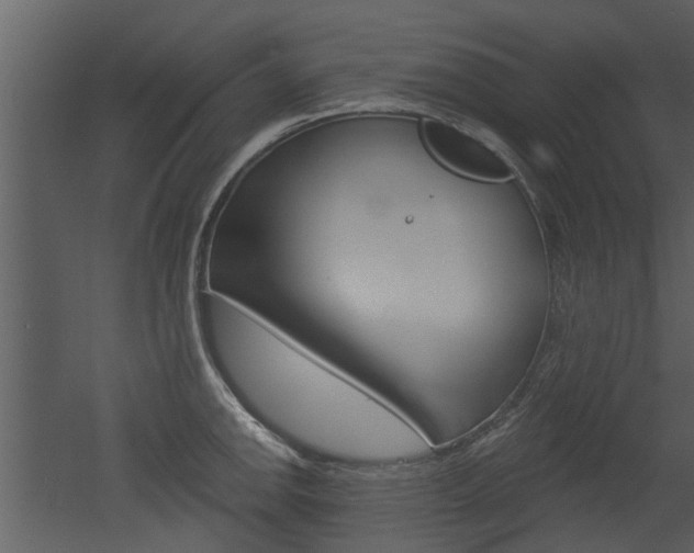 X0000052961142200507080849