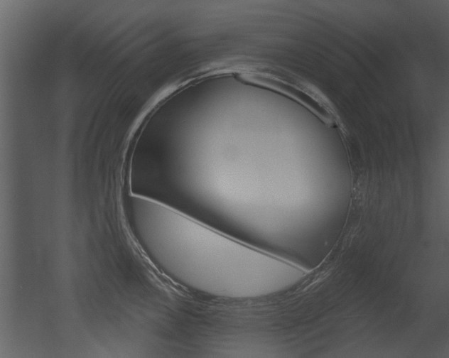 X0000052961146200507080849