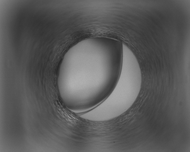 X0000052961153200507080848