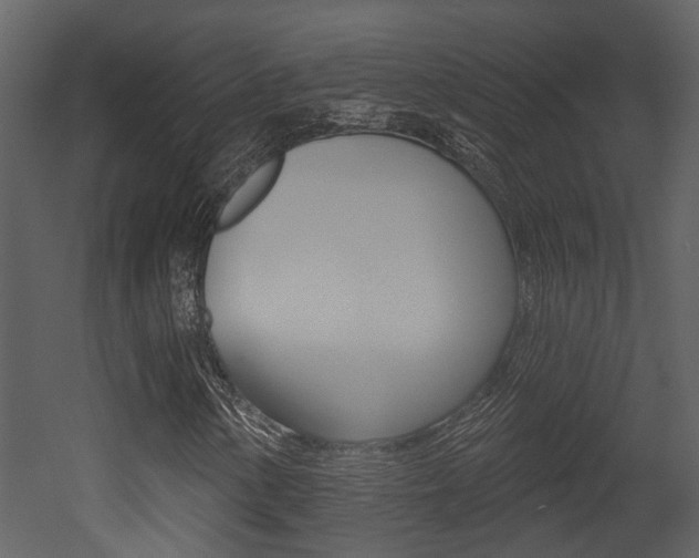 X0000052961154200507080848