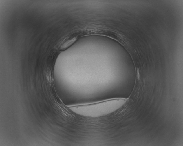 X0000052961155200507080848