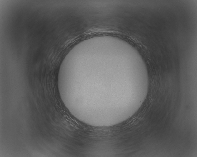 X0000052961157200507080848