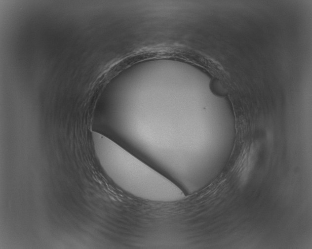 X0000052961158200507080848