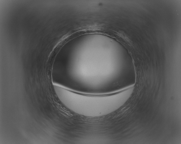 X0000052961160200507080848