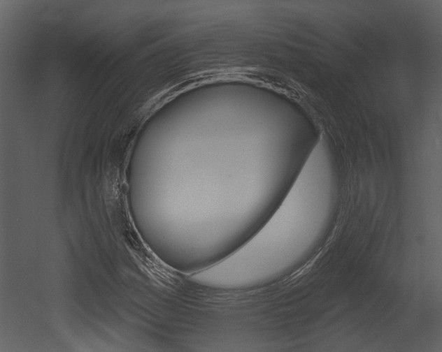 X0000052961161200507080848