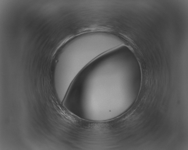 X0000052961163200507080848