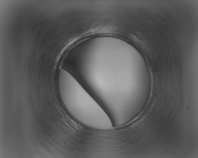 X0000052961166200507080848