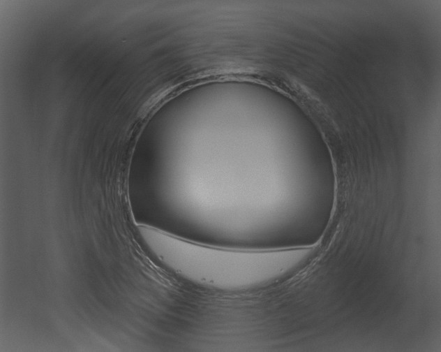X0000052961169200507080848