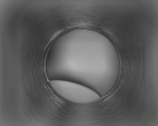 X0000052961170200507080848
