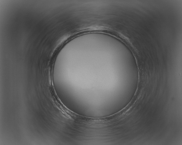 X0000052961171200507080848